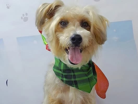 Thor depois do resgate